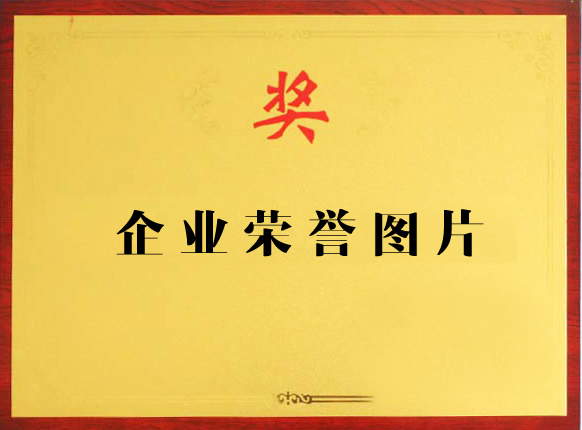 榮譽證書演示
