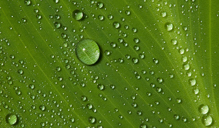 防水涂層的特點(diǎn)