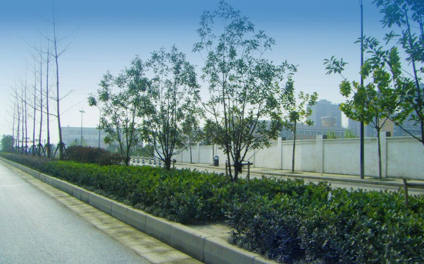 道路自清潔涂料的發展趨勢